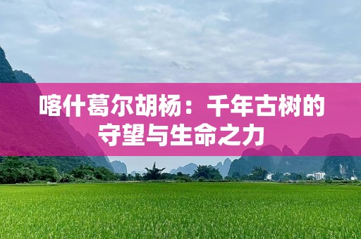 喀什葛尔胡杨：千年古树的守望与生命之力