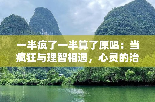 一半疯了一半算了原唱：当疯狂与理智相遇，心灵的治愈之旅