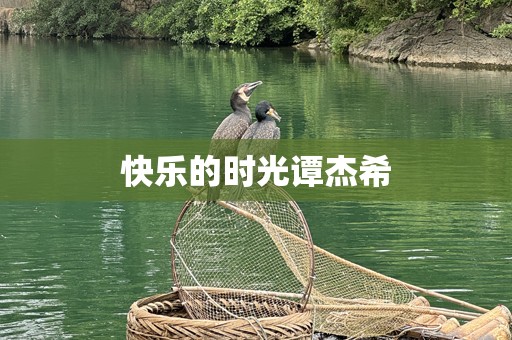 快乐的时光谭杰希