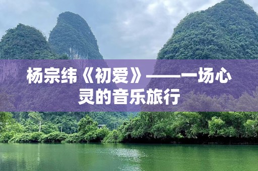 杨宗纬《初爱》——一场心灵的音乐旅行