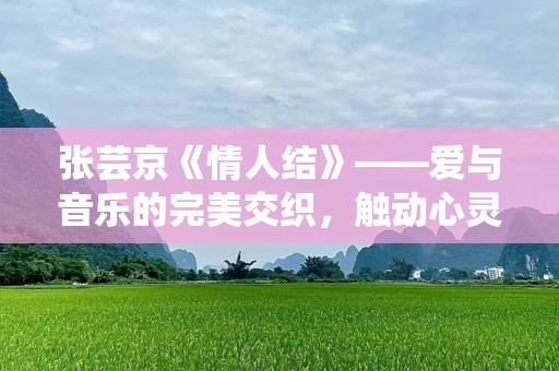 张芸京《情人结》——爱与音乐的完美交织，触动心灵的旋律之旅