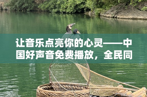 让音乐点亮你的心灵——中国好声音免费播放，全民同乐