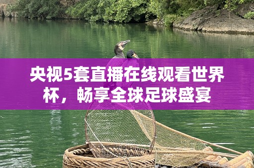 央视5套直播在线观看世界杯，畅享全球足球盛宴