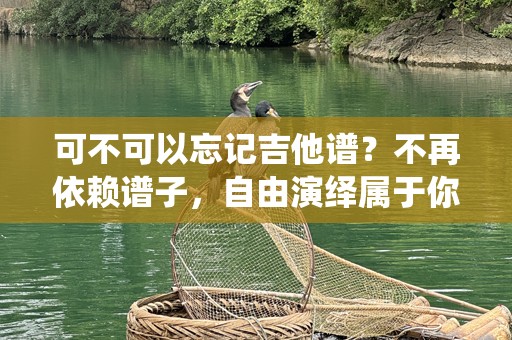 可不可以忘记吉他谱？不再依赖谱子，自由演绎属于你的音乐