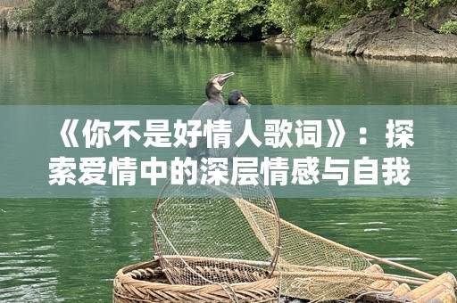 《你不是好情人歌词》：探索爱情中的深层情感与自我反思