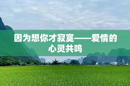 因为想你才寂寞——爱情的心灵共鸣