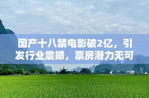 国产十八禁电影破2亿，引发行业震撼，票房潜力无可***