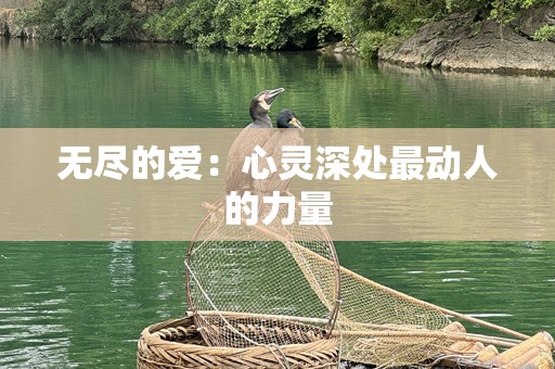 无尽的爱：心灵深处最动人的力量