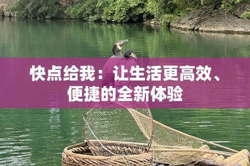 快点给我：让生活更高效、便捷的全新体验
