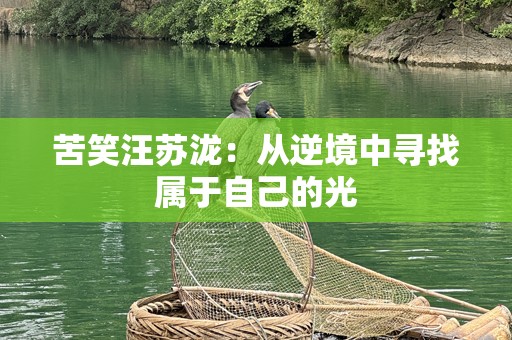 苦笑汪苏泷：从逆境中寻找属于自己的光