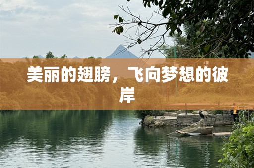 美丽的翅膀，飞向梦想的彼岸