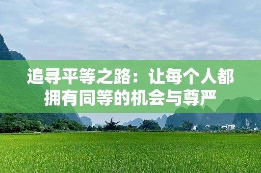 追寻平等之路：让每个人都拥有同等的机会与尊严