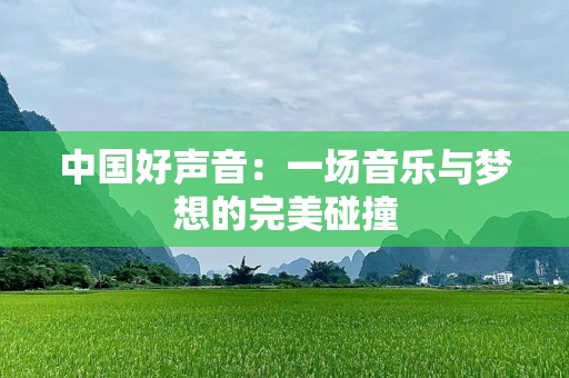 中国好声音：一场音乐与梦想的完美碰撞