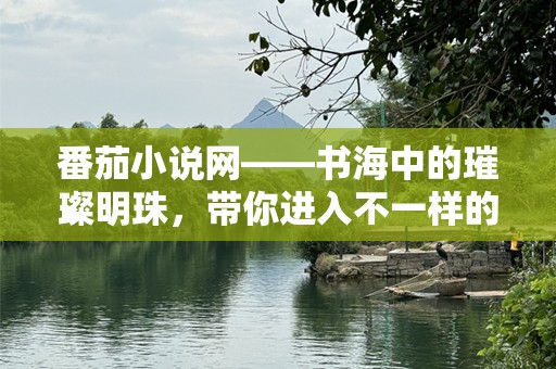番茄小说网——书海中的璀璨明珠，带你进入不一样的阅读世界