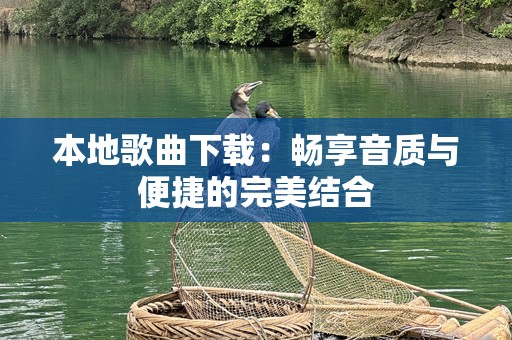 本地歌曲下载：畅享音质与便捷的完美结合