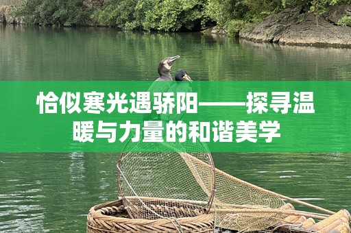 恰似寒光遇骄阳——探寻温暖与力量的和谐美学