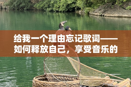 给我一个理由忘记歌词——如何释放自己，享受音乐的真正意义