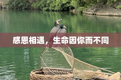 感恩相遇，生命因你而不同