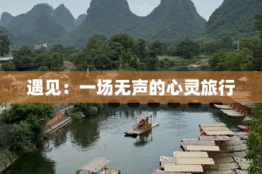 遇见：一场无声的心灵旅行