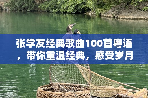 张学友经典歌曲100首粤语，带你重温经典，感受岁月的声音
