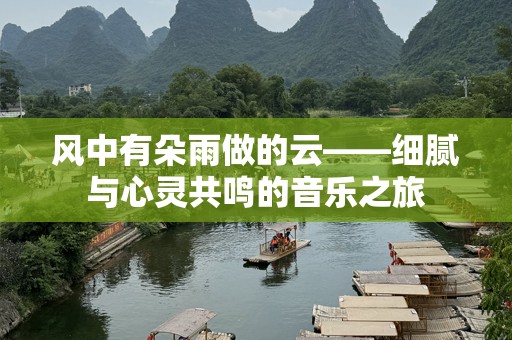 风中有朵雨做的云——细腻与心灵共鸣的音乐之旅