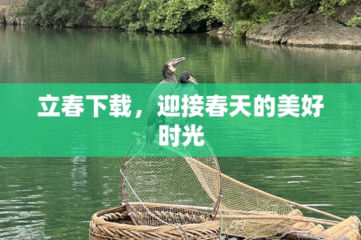 立春下载，迎接春天的美好时光