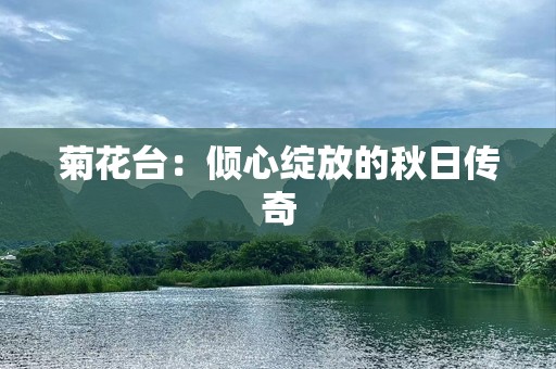 菊花台：倾心绽放的秋日传奇