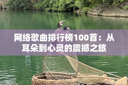 网络歌曲排行榜100首：从耳朵到心灵的震撼之旅