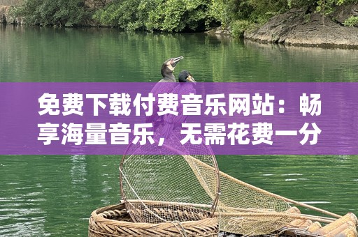 免费下载付费音乐网站：畅享海量音乐，无需花费一分钱！