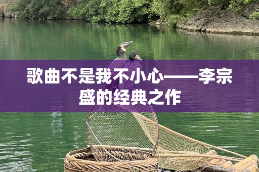 歌曲不是我不小心——李宗盛的经典之作