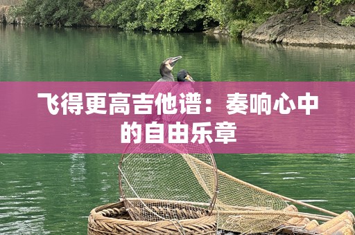 飞得更高吉他谱：奏响心中的自由乐章