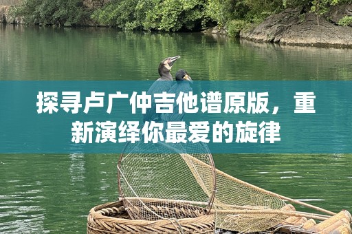 探寻卢广仲吉他谱原版，重新演绎你最爱的旋律