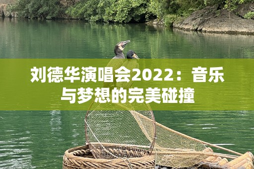 刘德华演唱会2022：音乐与梦想的完美碰撞