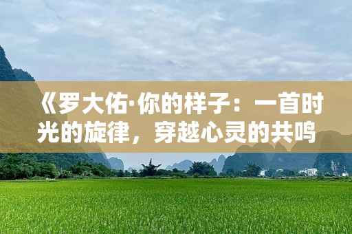 《罗大佑·你的样子：一首时光的旋律，穿越心灵的共鸣》