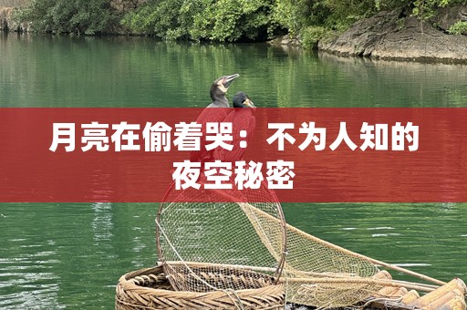 月亮在偷着哭：不为人知的夜空秘密