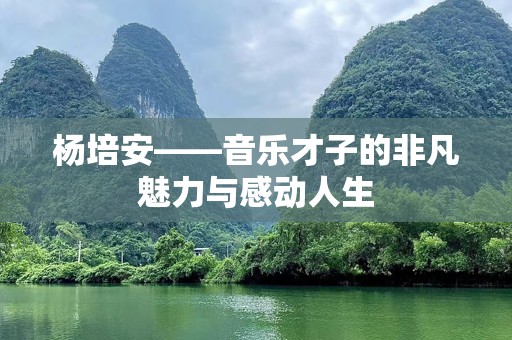 杨培安——音乐才子的非凡魅力与感动人生