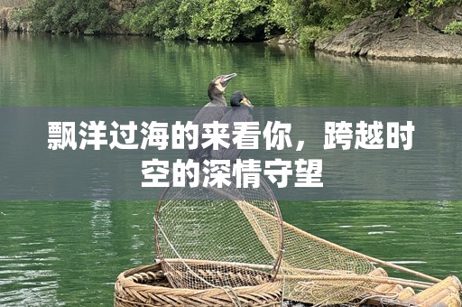 飘洋过海的来看你，跨越时空的深情守望