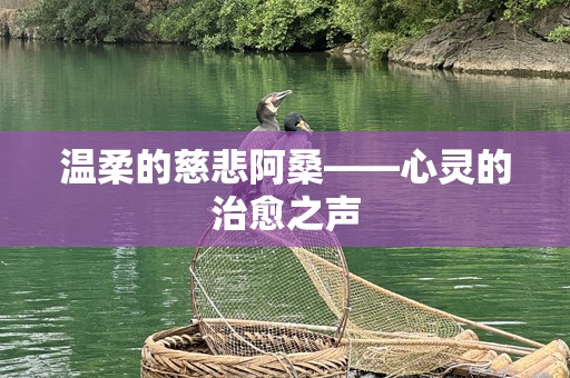 温柔的慈悲阿桑——心灵的治愈之声