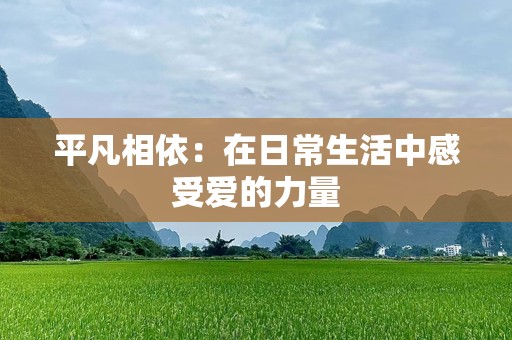 平凡相依：在日常生活中感受爱的力量