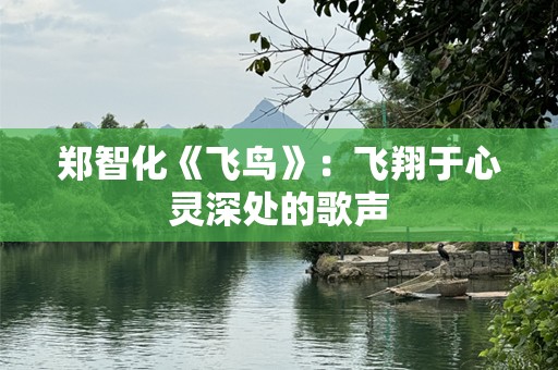 郑智化《飞鸟》：飞翔于心灵深处的歌声