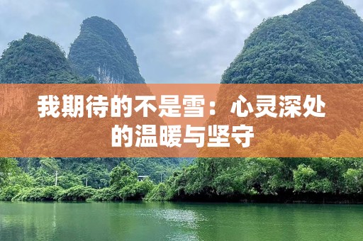 我期待的不是雪：心灵深处的温暖与坚守