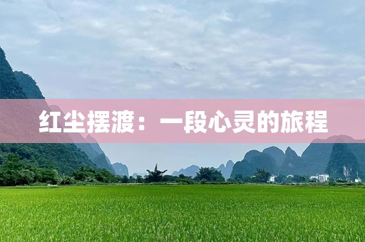 红尘摆渡：一段心灵的旅程