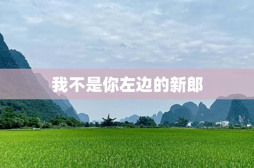 我不是你左边的新郎