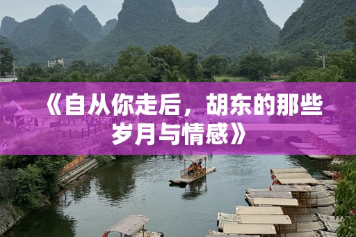 《自从你走后，胡东的那些岁月与情感》