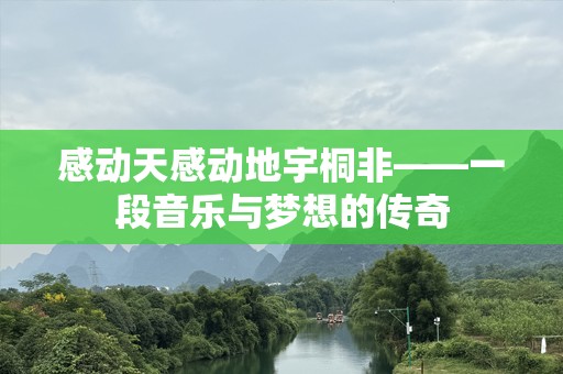 感动天感动地宇桐非——一段音乐与梦想的传奇