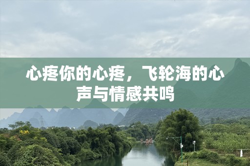 心疼你的心疼，飞轮海的心声与情感共鸣