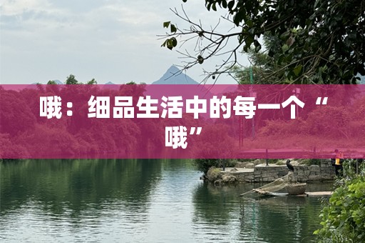 哦：细品生活中的每一个“哦”