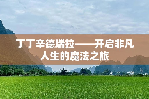 丁丁辛德瑞拉——开启非凡人生的魔法之旅