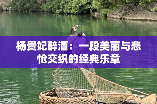 杨贵妃醉酒：一段美丽与悲怆交织的经典乐章