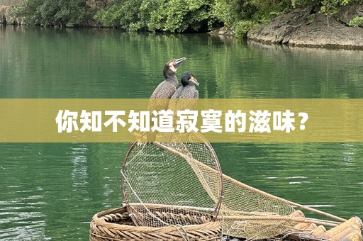 你知不知道寂寞的滋味？